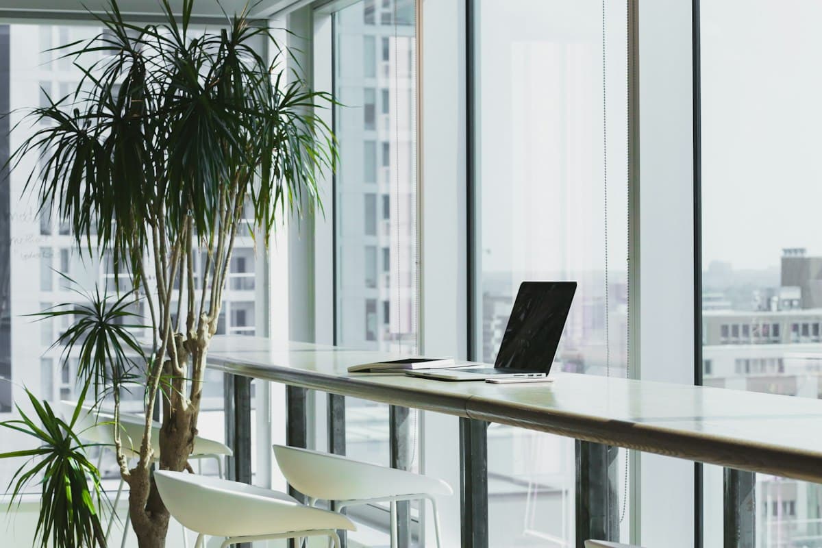 Quiet professional workspace by a window